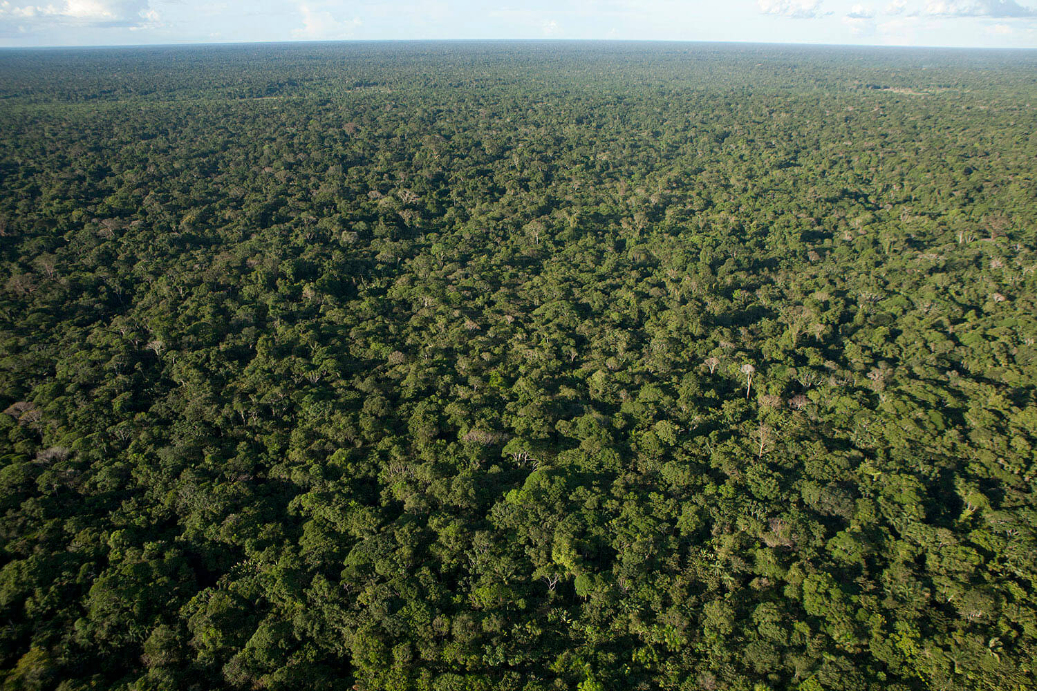 12AMAZONAS slider 5_MG_4604.jpg